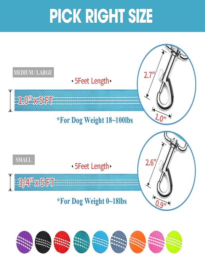 با بِت طوق كلاب BAAPET بمقبضين، مقبضان مبطنان ناعمان مع مقبض للتحكم في حركة المرور، مناسب للكلاب الصغيرة والمتوسطة والكبيرة (3/4 بوصة × 5 أقدام، أزرق) - Image 5